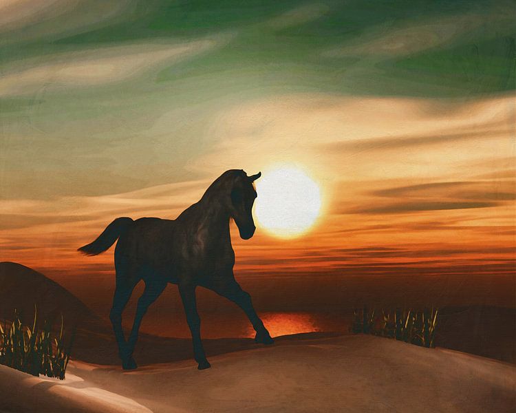 Pferd bei Sonnenuntergang von Jan Keteleer