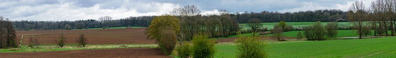 Panorama du paysage agricole de Froidchapelle par Kristof Leffelaer