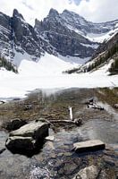 Montagnes Rocheuses Banff (région de Lake Louise)