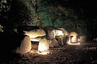 Hunebed D 27 in Borger, Drenthe