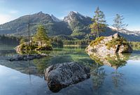 Morgenlicht am Hintersee