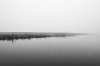 Wenig kann genug sein. in schwarz und weiß