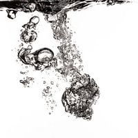 Lucht vliegt in het water