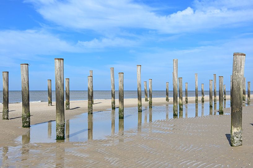 Palendorp Petten von Caroline Guerain