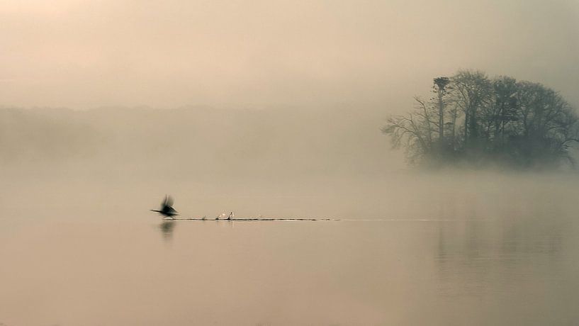 Lac brumeux par Eddy Helsen