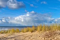 Helmgras met uitzicht over de Noordzee