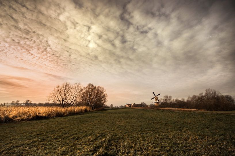 Niederländische Landschaft von Bert-Jan de Wagenaar