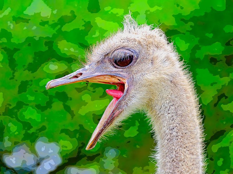 Schreiender Strauß von Leopold Brix