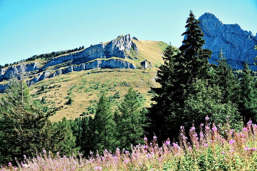 Les Montagnes en Fleurs in Villars-de-Lans im Sommer von Frank Photos
