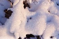 Crystallized snow