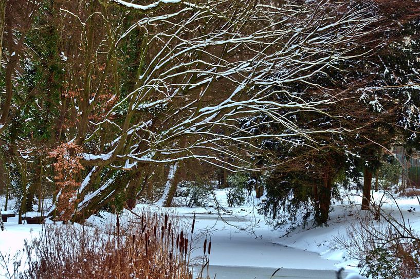 Snow Creek par Edgar Schermaul