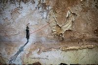 eingeschlossener Schmetterling