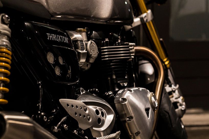 Triumph Thruxton R von Westland Op Wielen