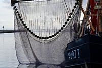 Fischerboot im Hafen von Terschelling