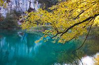 Plitvicer Seen, Kroatien, Herbst, Fotografie