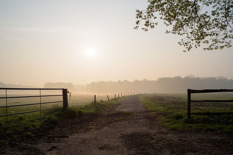 Brabant farmland in the early morning by Arjen Tjallema