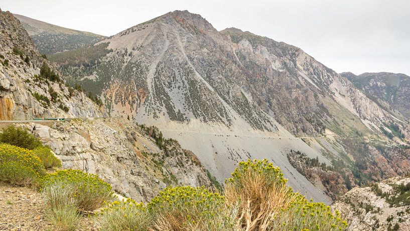Tiogapas in Yosemite Nationaal Park in Californie von Hilda Weges