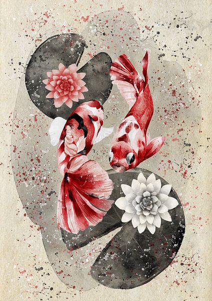 Koi in the lotus pond by Lucia