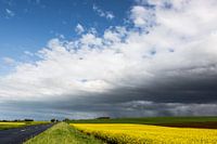 Normandië landschap met koolzaad in mei