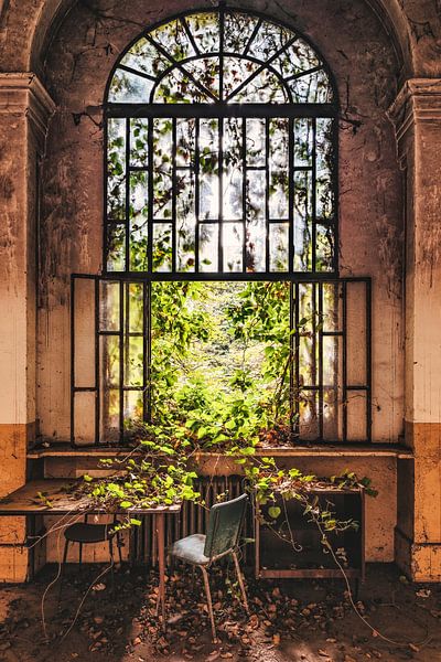 Überwuchertes Fenster von Bjorn Renskers