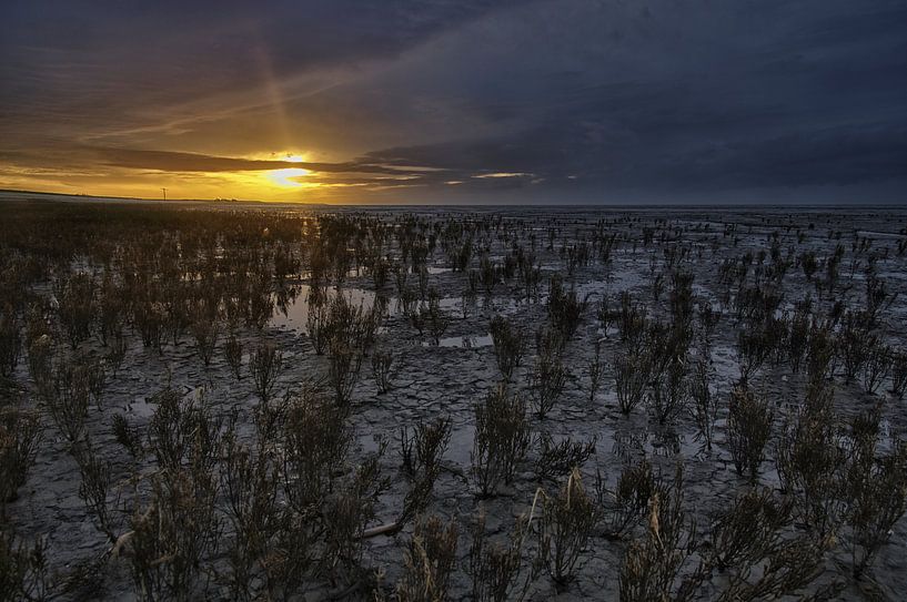 Kwelderrand richting Koehoal by Remco de Vries