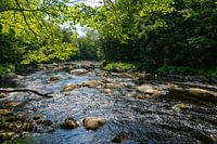 Flusslandschaft in Nova Scotia/Kanada