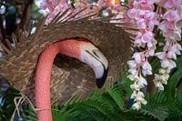 pink flamingo in a straw hat