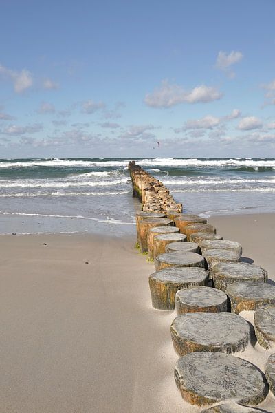 An der Ostseeküste von Karina Moersch