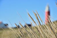 Vuurtoren Waddeneiland Texel