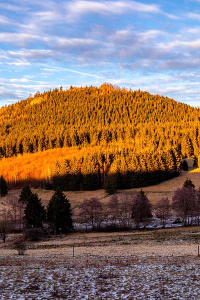 Petite randonnée au coucher du soleil vers le Ruppberg près de Zella-Mehlis - Thuringe - Allemagne par Oliver Hlavaty