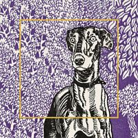 Viennese Youth Style Greyhound