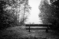 Un banc rustique ne donnant sur rien du tout.