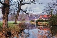 Chant des oiseaux 2e Avenue de la mort