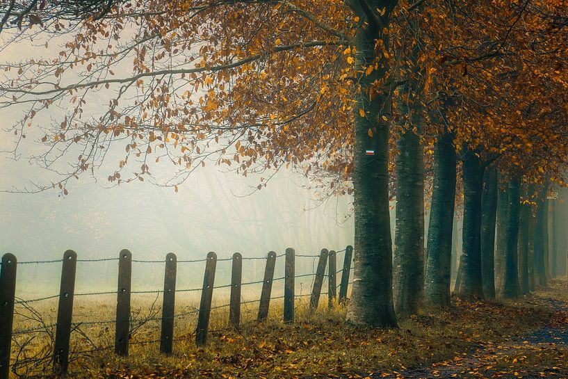 Morgennebel von Rik Verslype