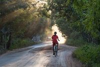 Radfahren im Abendlicht