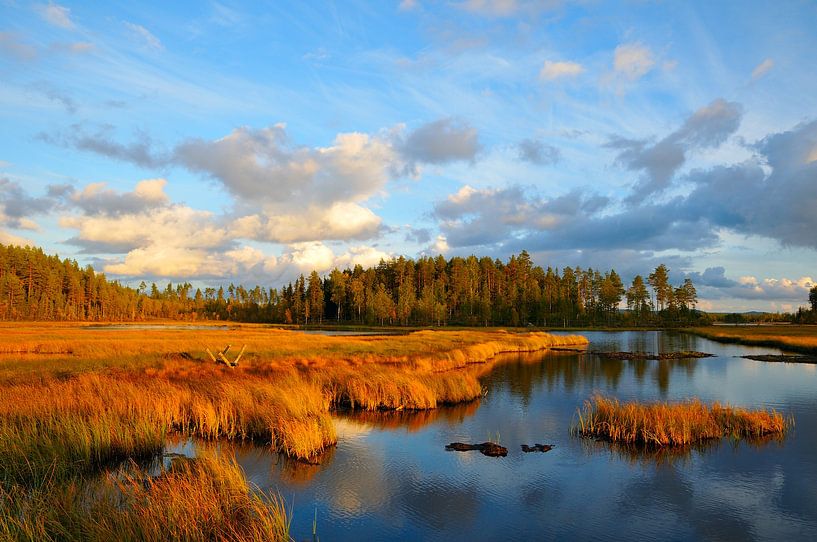 Herbstt in Värmlands län von Karin Jähne