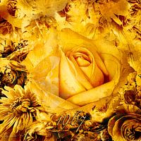 Eine Rose und ein wenig Historische Atmosphäre aus den 60er Jahren...1967...