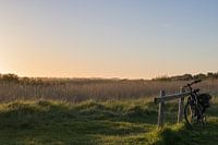 Bicycle at sunset in West-Terschelling