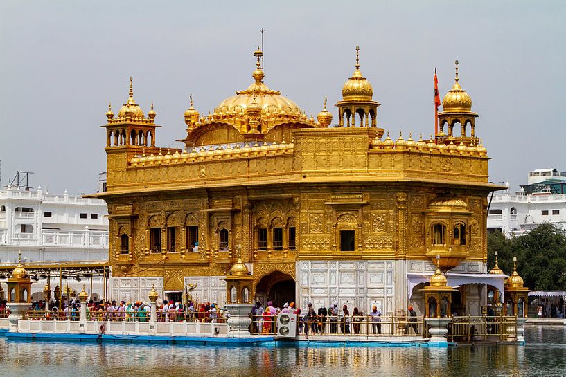 The Harmadir Sahib Golden Temple in Amritsar by Roland Brack