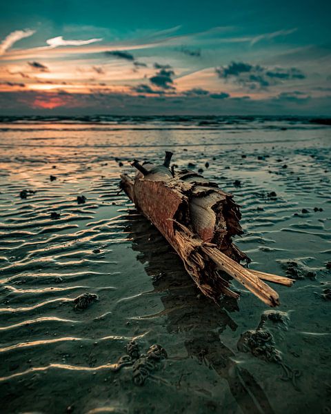 The beachcomber by Wesley Kole