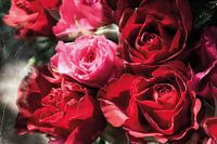 Rosenstrauss in Farbharmonie