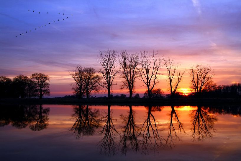 Brandenburg by Heiko Lehmann