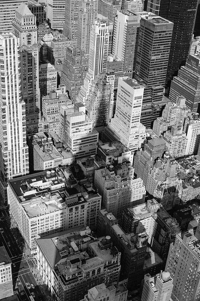 Im Schatten des Empire State Building von eric borghs
