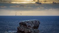 Zonsondergang Helgoland Duitsland