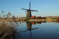 Molen in kinderdijk