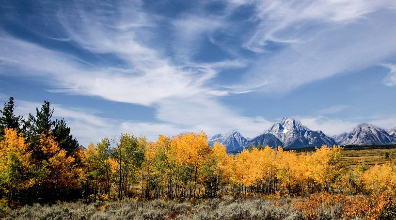 Parc national du Grand Teton, Wyoming USA, photo panoramique par Gert Hilbink