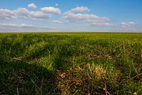 View of the Heuveland in spring in Mechelen, Limburg