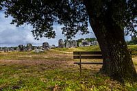 Menhire der Bretagne