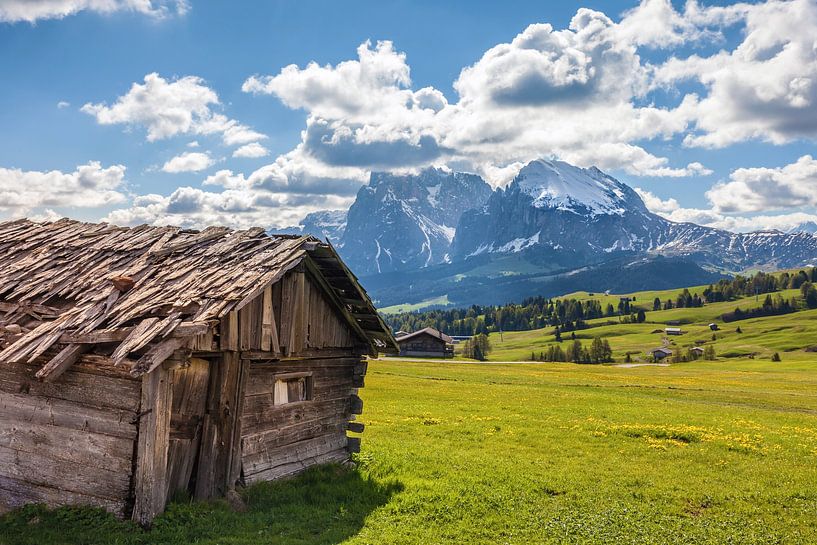 Alpine huts on the Seiser Alm, view of the Plattkofel, South Tyrol by Christian Müringer
