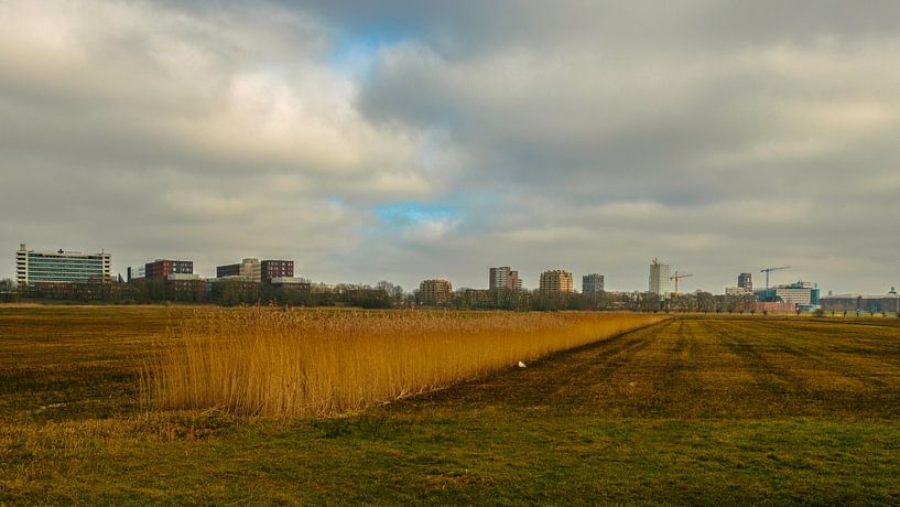 Le ciel de 's-Hertogenbosch par Freddie de Roeck
